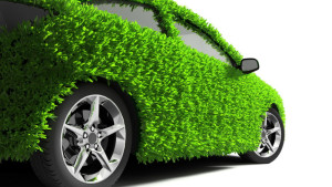 "Зелена карта" здешевшає у ціні